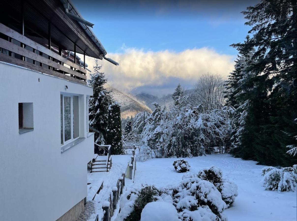 Bsg Villa - Sinaia Exterior foto